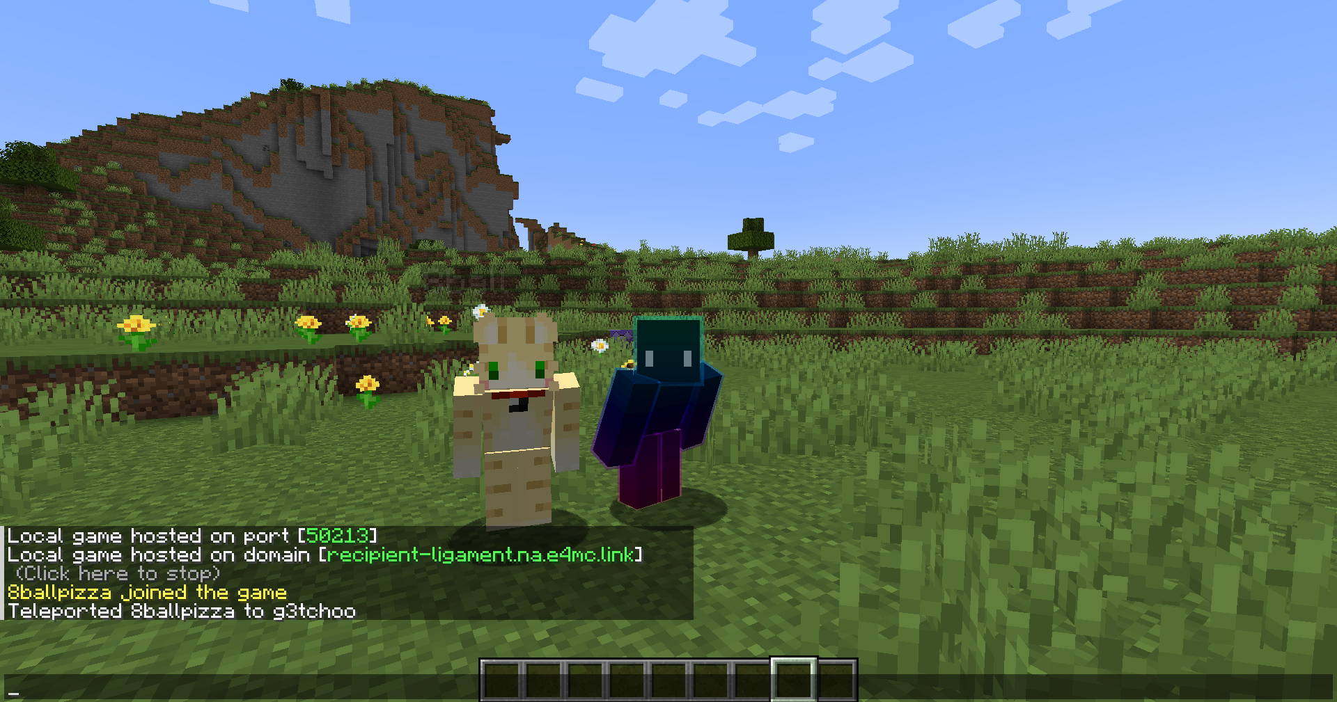 Two players standing next to each other on a LAN server